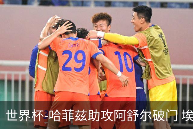 世界杯-哈菲兹助攻阿舒尔破门 埃及半场暂1-0澳大利亚