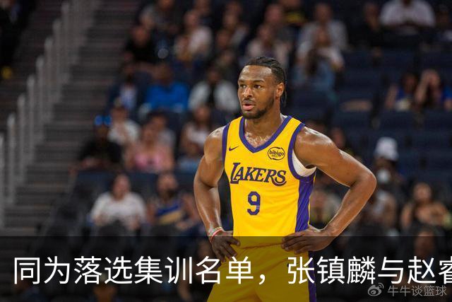 同为落选集训名单，张镇麟与赵睿的境遇差异何在？