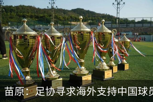 苗原：足协寻求海外支持中国球员跟训，K2龙仁可能是首批合作伙伴