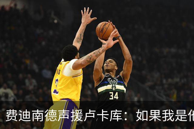 费迪南德声援卢卡库：如果我是他 我可能会疯