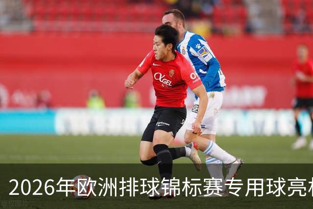 2026年欧洲排球锦标赛专用球亮相！设计细节让人惊艳